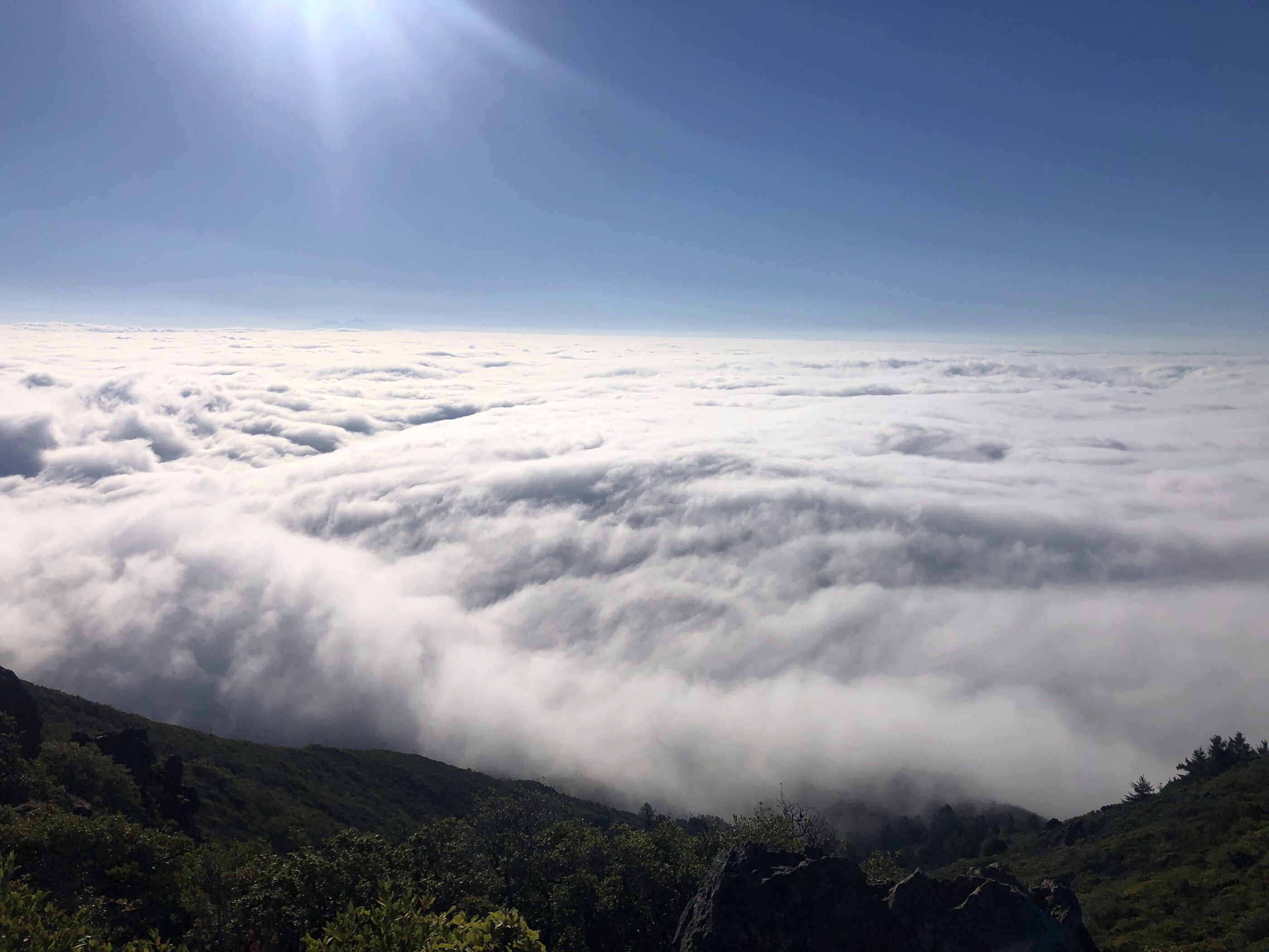 The sun over an unbroken marine layer, seen from the summit of Mount Tamalpais