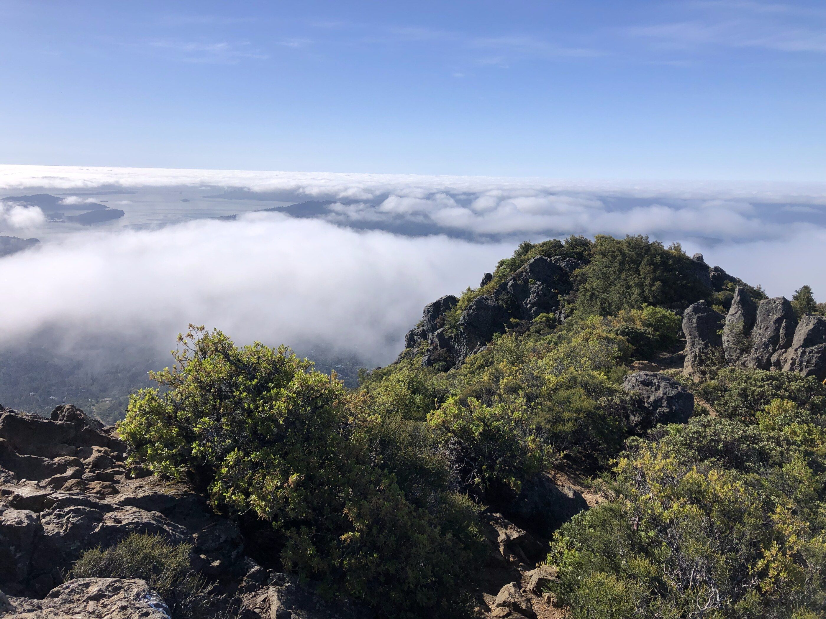 The rocky summit of East Peak, Mount Tamalpais, with fog banks behind