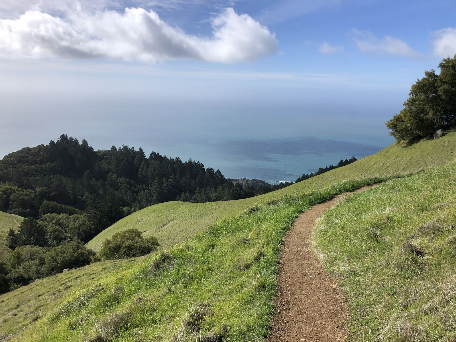 Green winter hillside and a trail on the west side of Mount Tamalpais, fog over the Pacific below